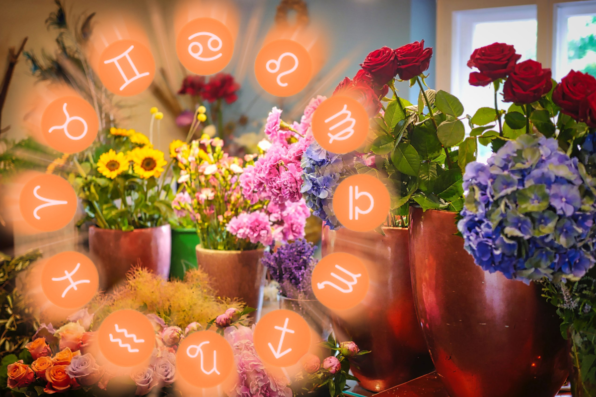 Horoscopul florilor: Ce plantă reprezintă zodia ta şi ce spune despre tine
