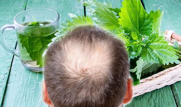 Urzica – cel mai puternic medicament pentru problemele părului – rețete și mod de utilizare