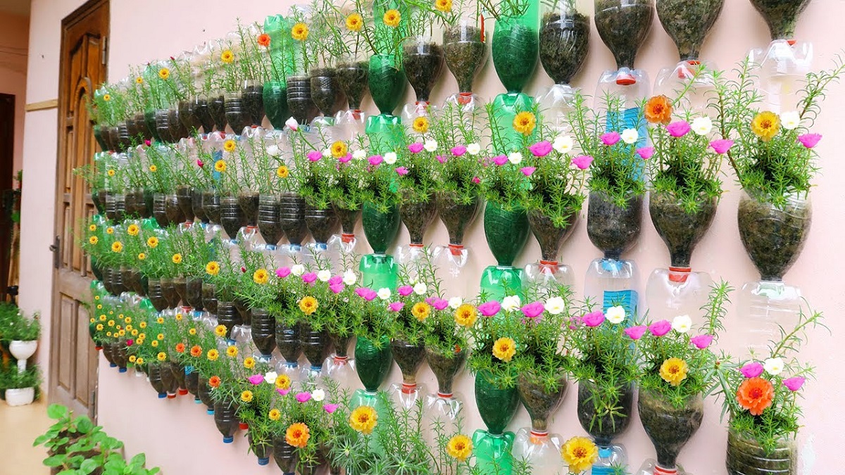 Cum sa faci ghivece pentru plantele tale din sticle de plastic