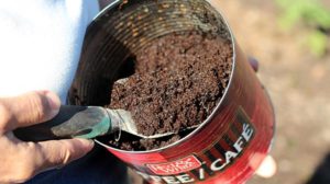 Zațul de cafea – o soluție pentru grădina ta. Iată la ce îl poți folosi!