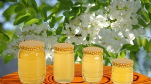 Mierea de salcâm, unul dintre cele mai sănătoase soiuri de miere. Vezi ce proprietăți are!