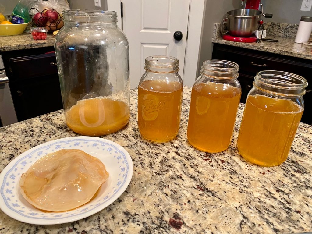 Ceaiul nemuririi, Kombucha este o ciuperca de ceai de origine japoneza, folosita in Europa de sute de ani. Initial, a fost consumat numai de regi si a fost tinut secret numerosi ani