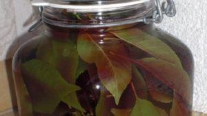 Ceaiul din frunze de cires amar: lotiunea magica ce poate distruge pietrele de la rinichi si care trateaza hepatitei A