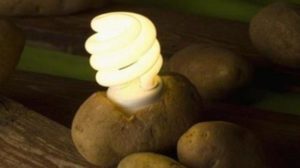 Descoperire incredibilă. Un cartof îți poate lumina locuința timp de o lună. Privește cum funcționează!