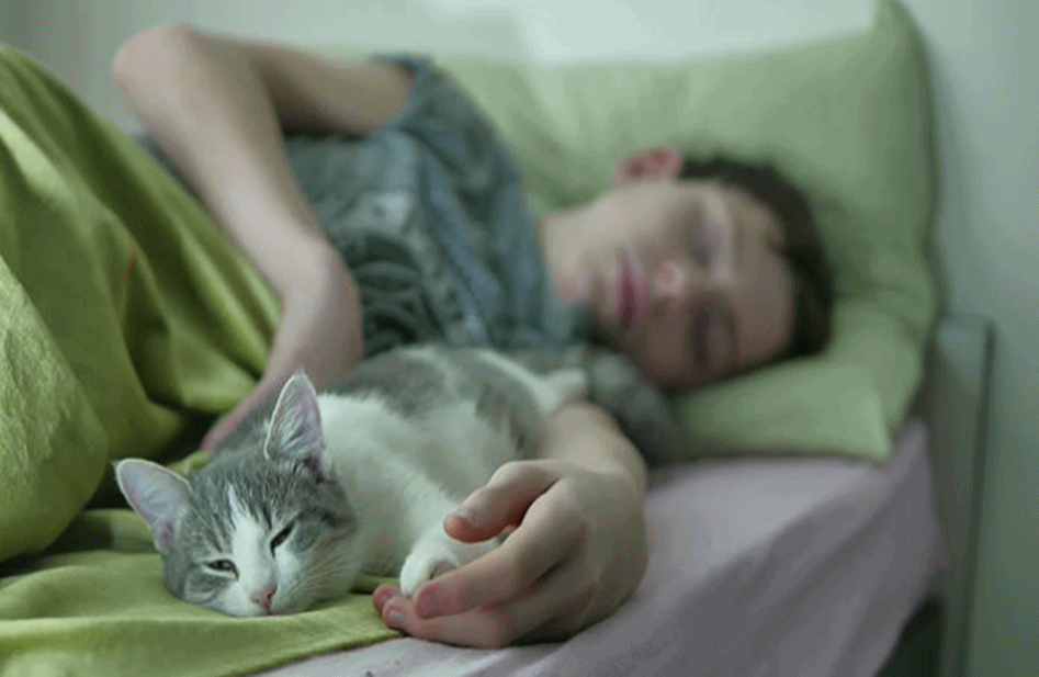 Motive pentru care e bine să dormi cu pisica în cameră