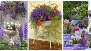 Amenajari cu flori in ghivece – 15 idei de decoruri splendide pentru gradina ta