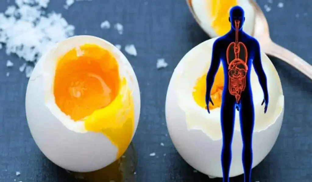 10 lucruri care se intampla cu corpul tau cand mananci doua oua pe zi