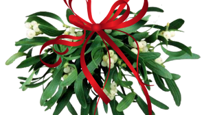 Planta care aduce noroc și belșug în casă de Crăciun, e un adevărat ”medicament”. În Germania și Elveția e folosită în tratarea cancerului