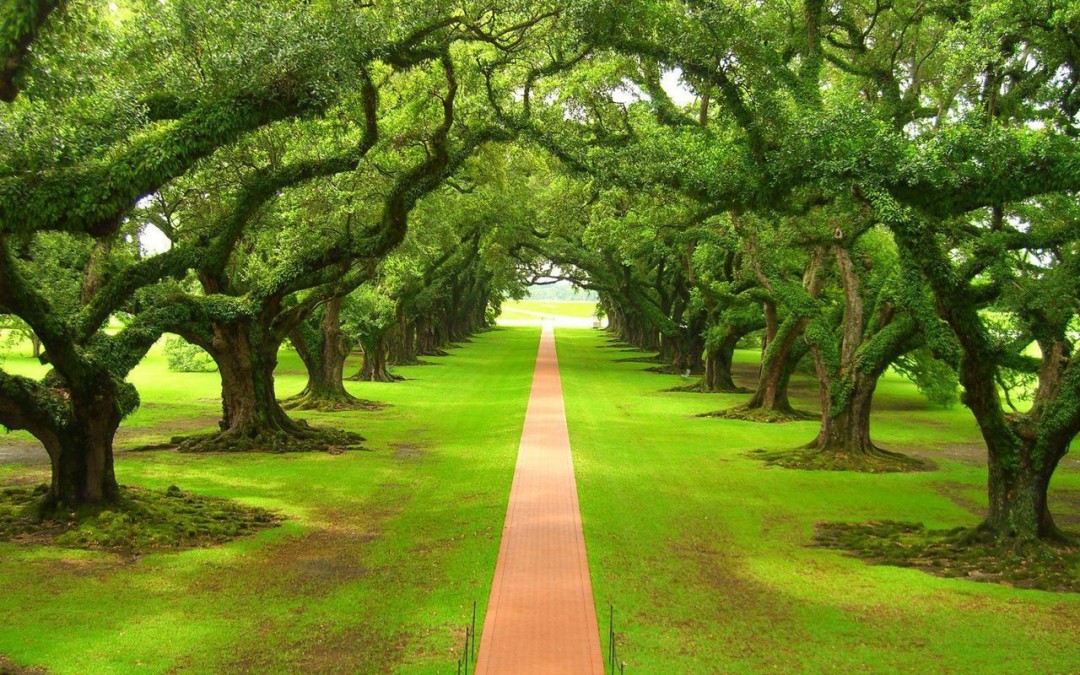 Murim și lăsăm totul. Luăm dincolo doar bogăția inimii cu care i-am iubit pe oameni