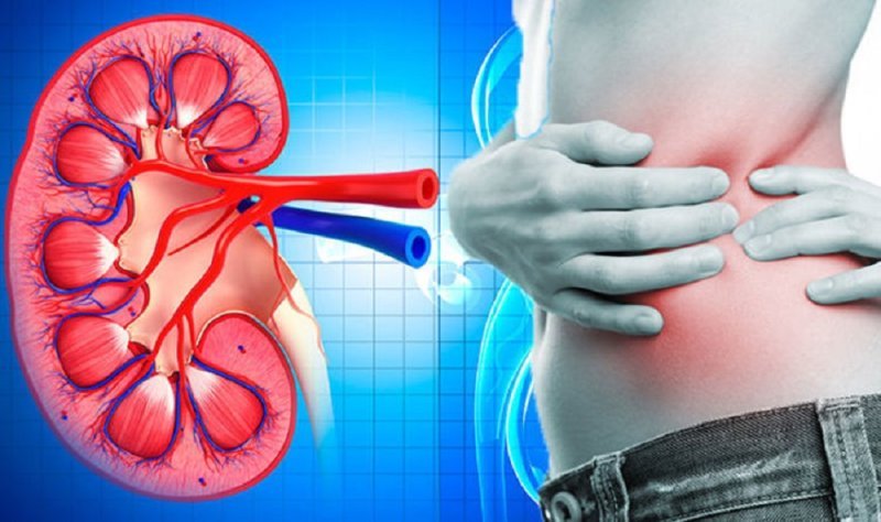 Remedii naturale pentru a menţine rinichii sănătoşi