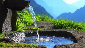 Cea mai curată apă din lume se gasește în România, dar românii nu știu despre ea. Șapte izvoare a căror apă este cea mai pură din întreaga lume!