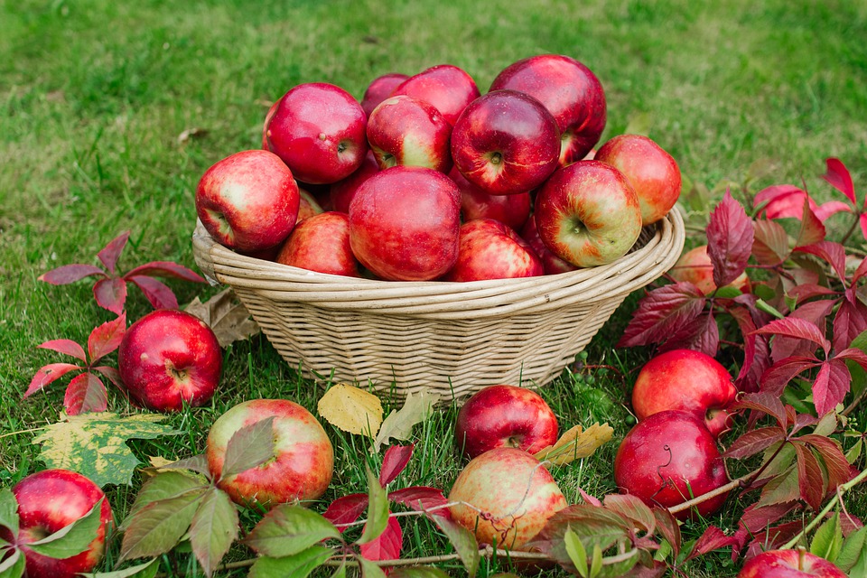 O zi de curățare a corpului cu mere. Purifică sângele de grăsimi, curăță și regenerează tractul digestiv. Ajuta ficatul sau rinichii, artere înfundate