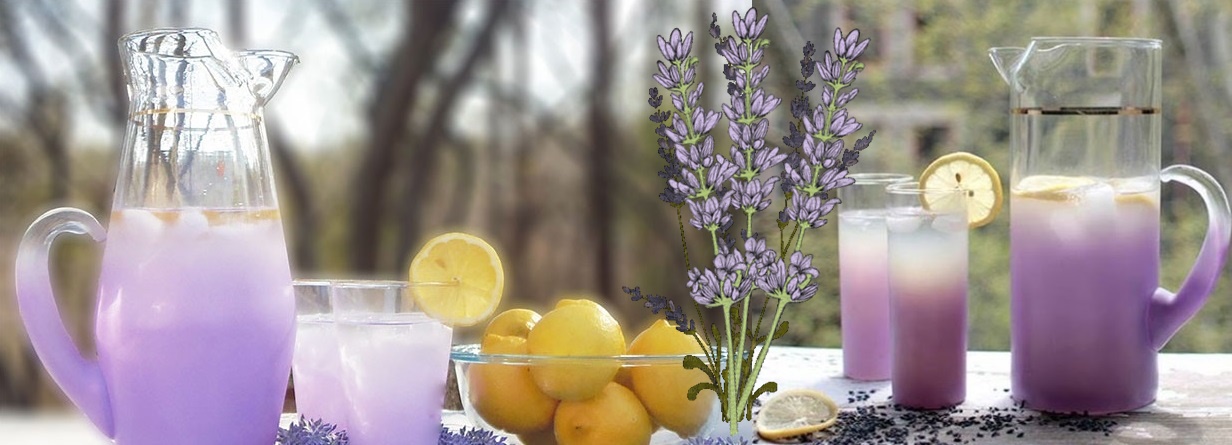 Cum să faci limonadă de lavandă, pentru a scăpa de durerile de cap și de anxietate