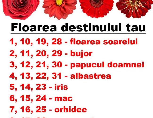 Stiati că există o floare care va reprezintă în funcţie de ziua în care v-ati nascut?