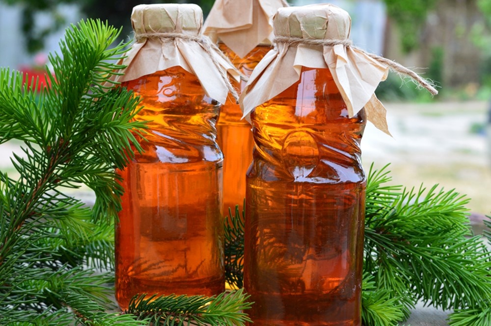 Sirop natural din muguri de brad și lămâie – preparare la rece, cu miere, pentru afecțiunile respiratorii
