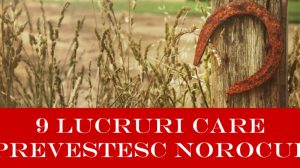 9 Lucruri care prevestesc norocul – Dacă găsești unul din ele, fericirea va intra în viața ta