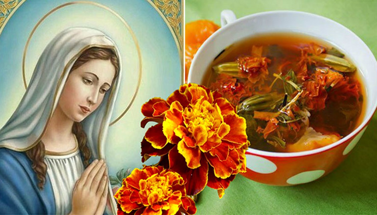 Flori care se numesc „aurul Fecioarei Maria” – vindecă stomacul, vederea și ficatul! Ele cresc în fiecare pat de flori…