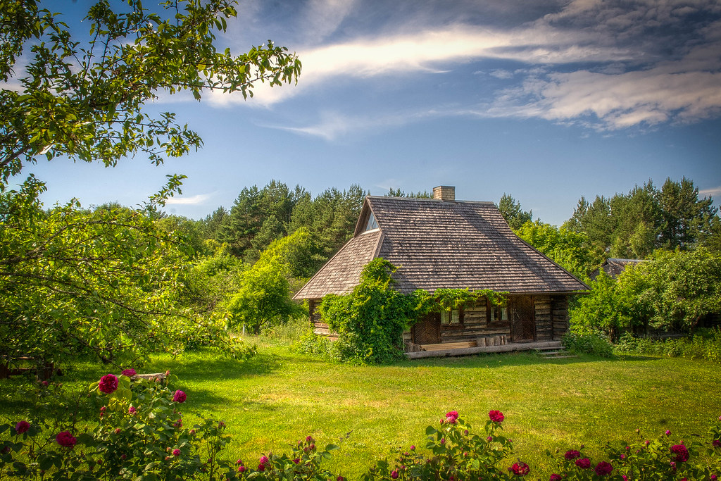 Copaci care merită plantați pe lângă casă, aduc bunastare în casa