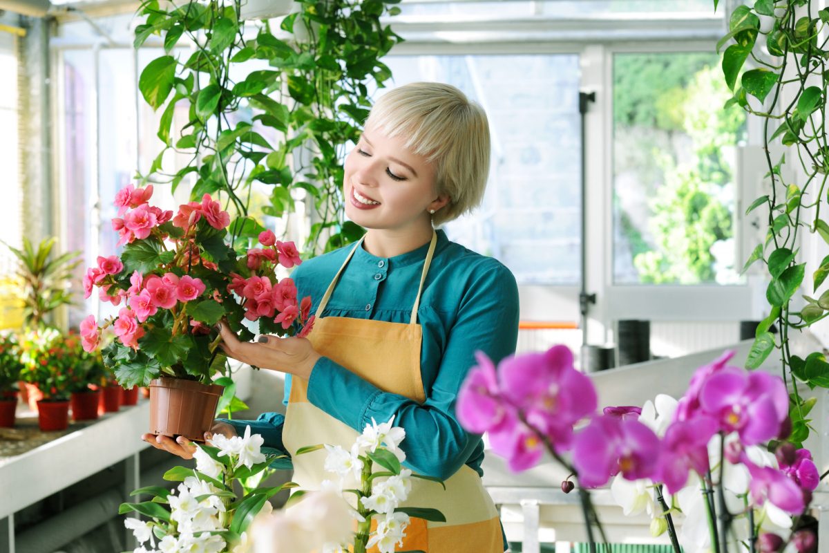 Solutii eficiente cu care poți uda plantele de interior. Vor fi mai sănătoase și mai viguroase, pline de flori minunate