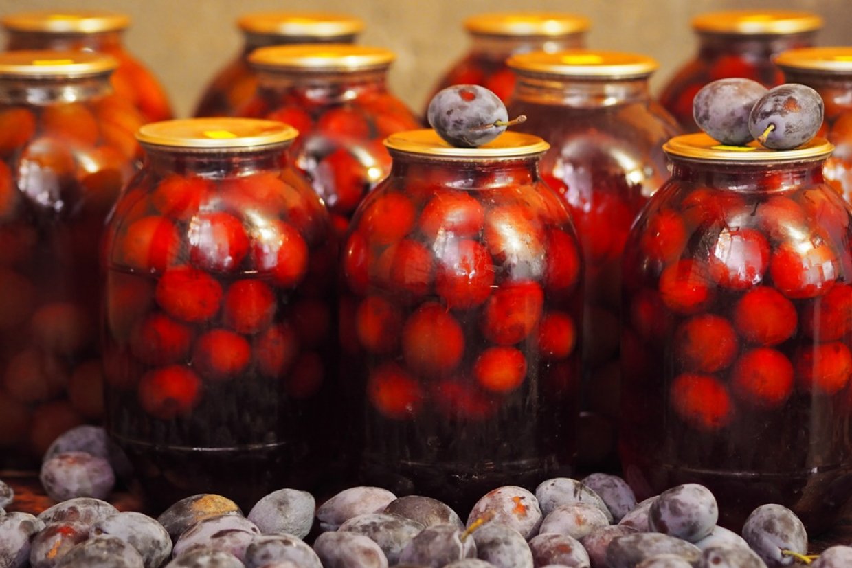 Prune conservate pentru iarnă – o rețetă deosebit de bună, de care am făcut rost cu greu! O gustare originală, ce te cucerește iremediabil!