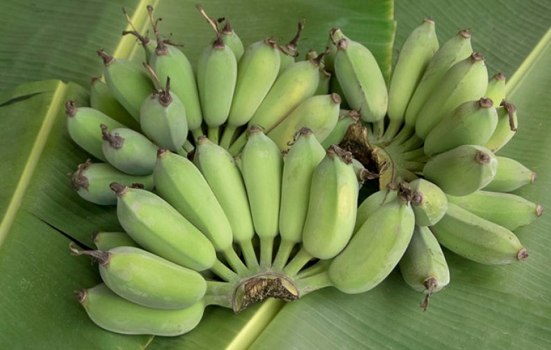 Bananele verzi ajuta la pierderea în greutate, la sănătatea cardiovasculară, îmbunătățește digestia și previne constipația, ține foamea la distanță