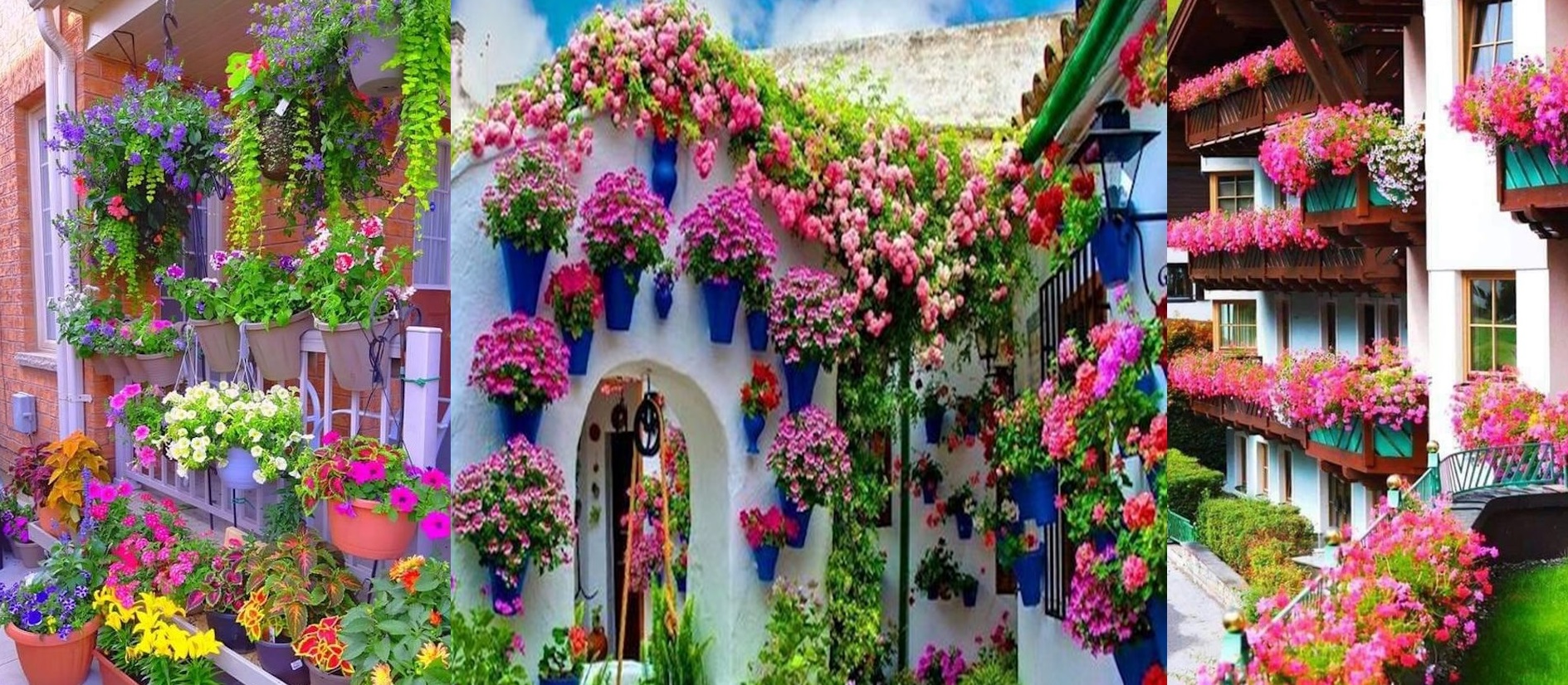 Decoreza fatada casei tale cu flori spectaculoase. Flori colorate care infloresc toata vara si care iti fac casa si mai frumoasa